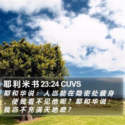 撒上23|撒上23 CUV;NIV